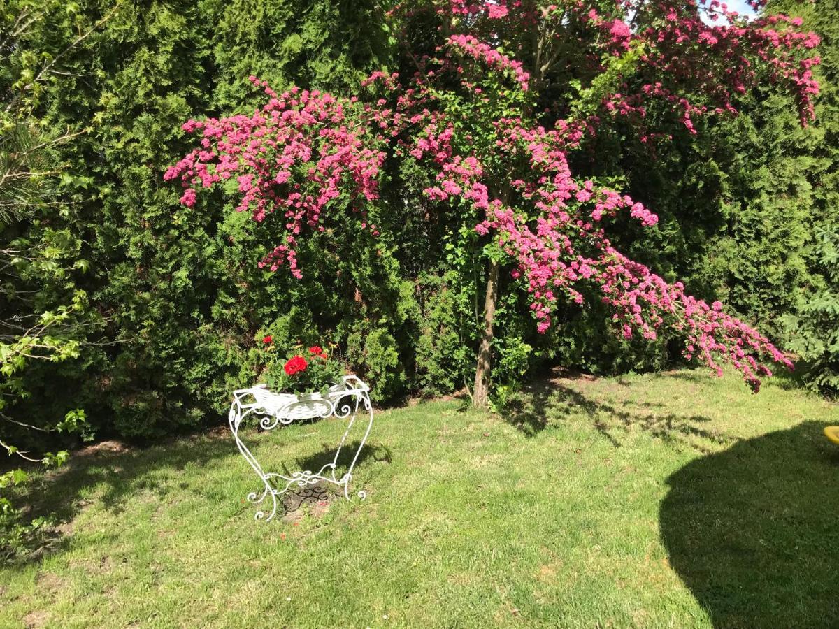 Pensjonat Rozanna Wawolnica Bagian luar foto